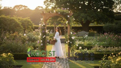 Ahşap Pergola